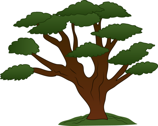 tree logo